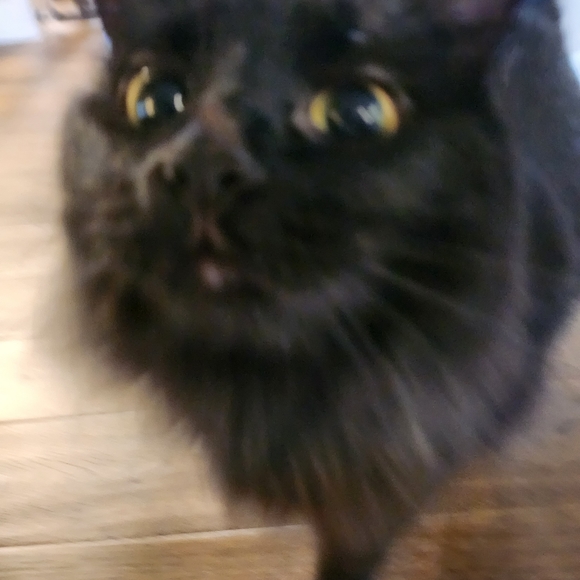 Hello - Picture 1 of 1